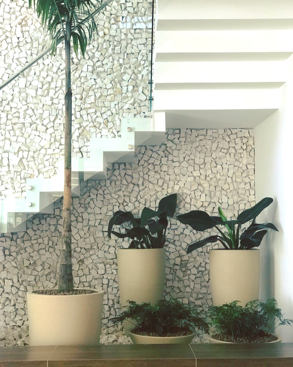 Vasos com plantas sob escada, decoração de interiores, jardim interno