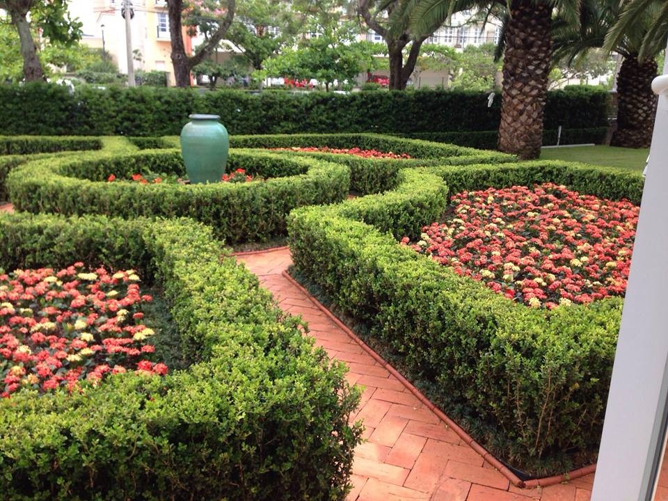 Projeto paisagístico de jardim residencial estilo francês, com buxus e ixoras