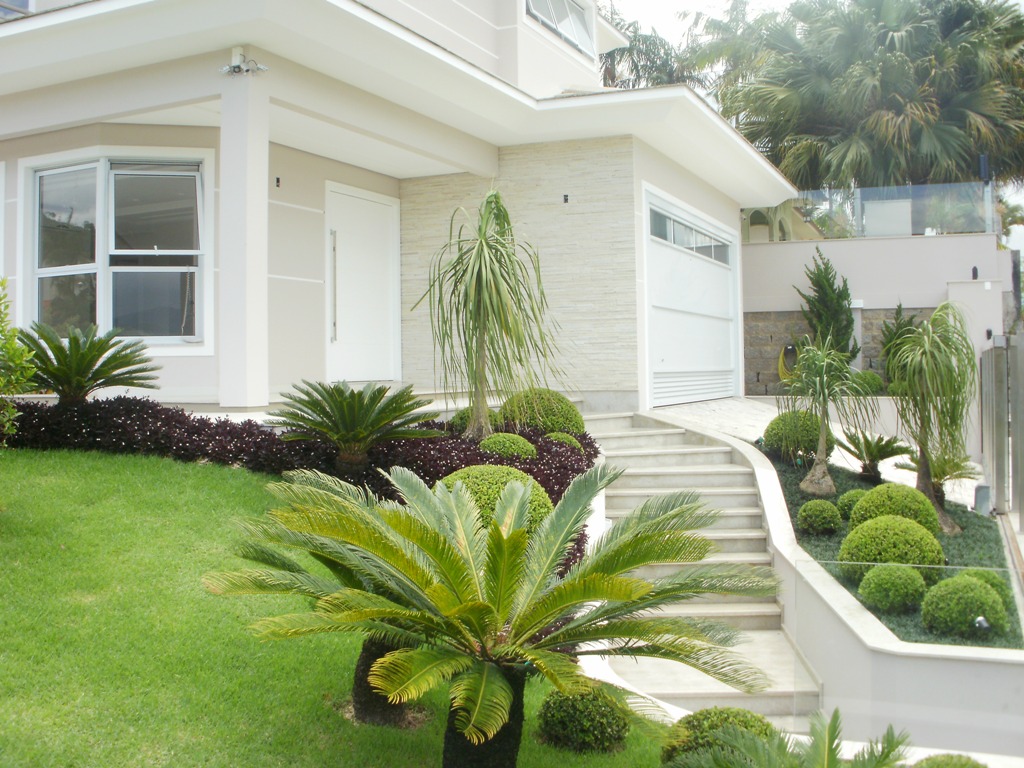 Projeto paisagístico de jardim residencial com cycas e buxus