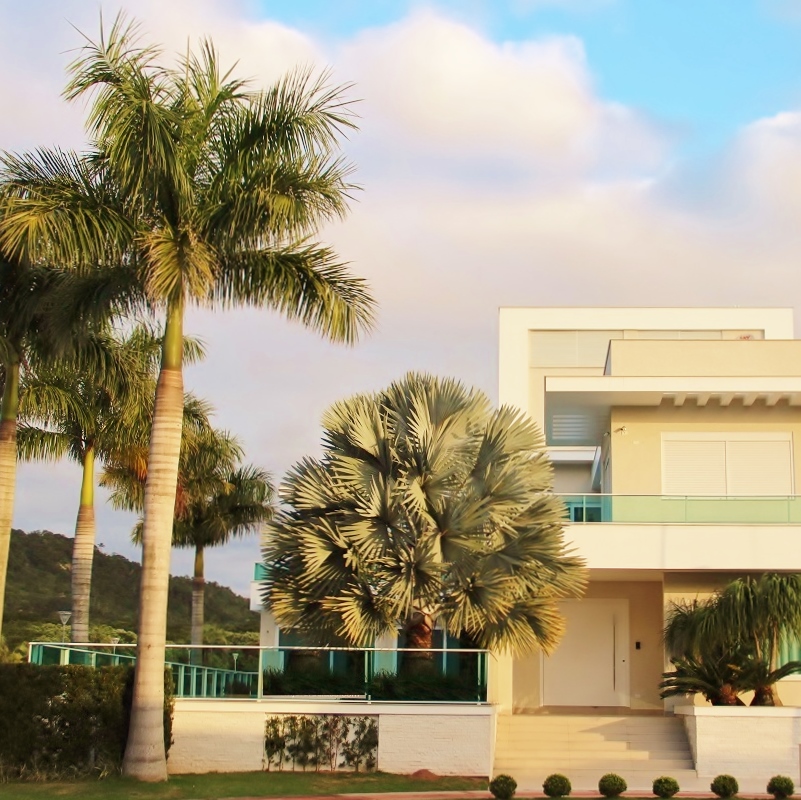 Projeto paisagístico de jardim residencial com palmeira bismarckia nobilis