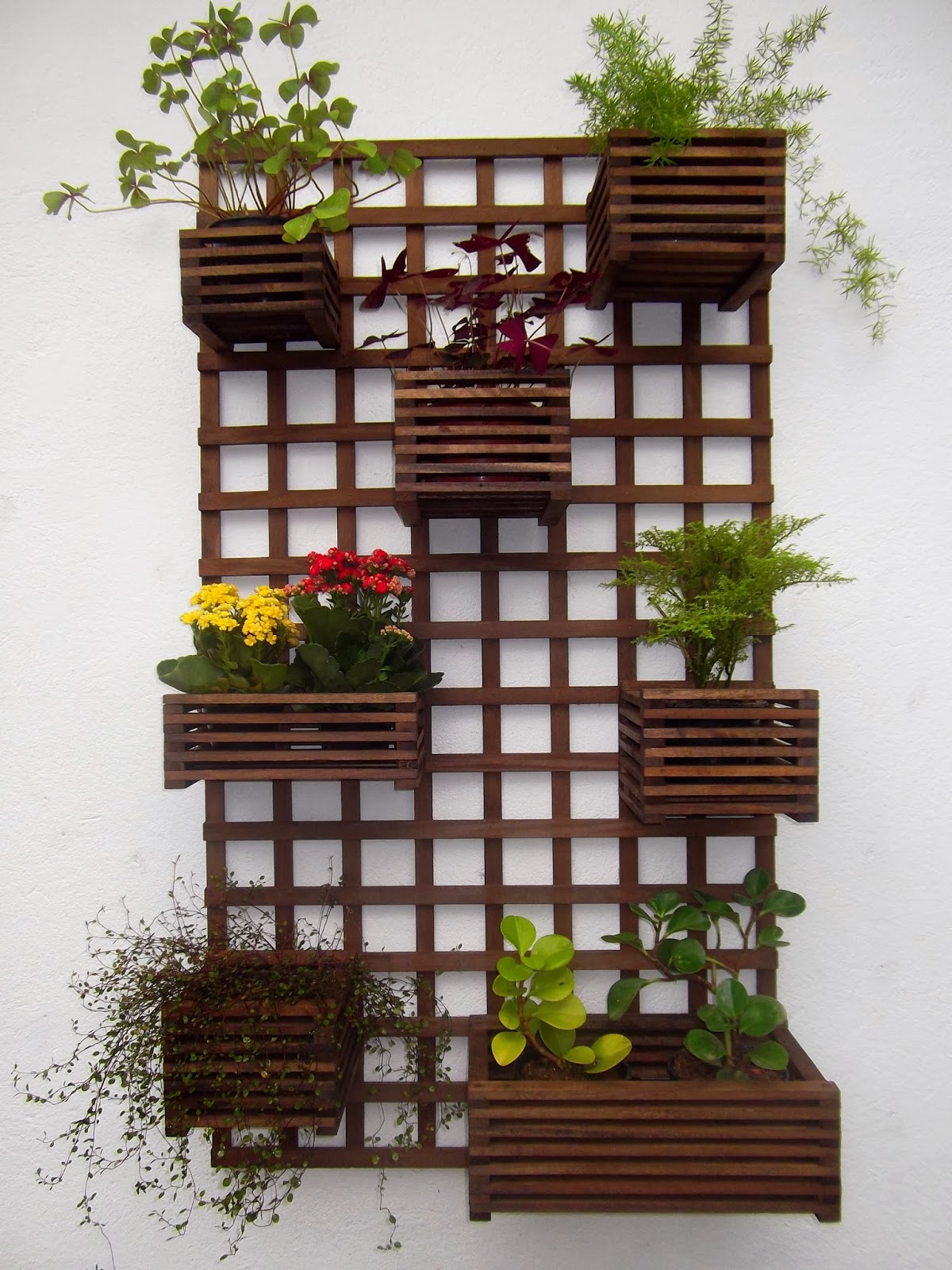 Treliça com cachepot.JPG