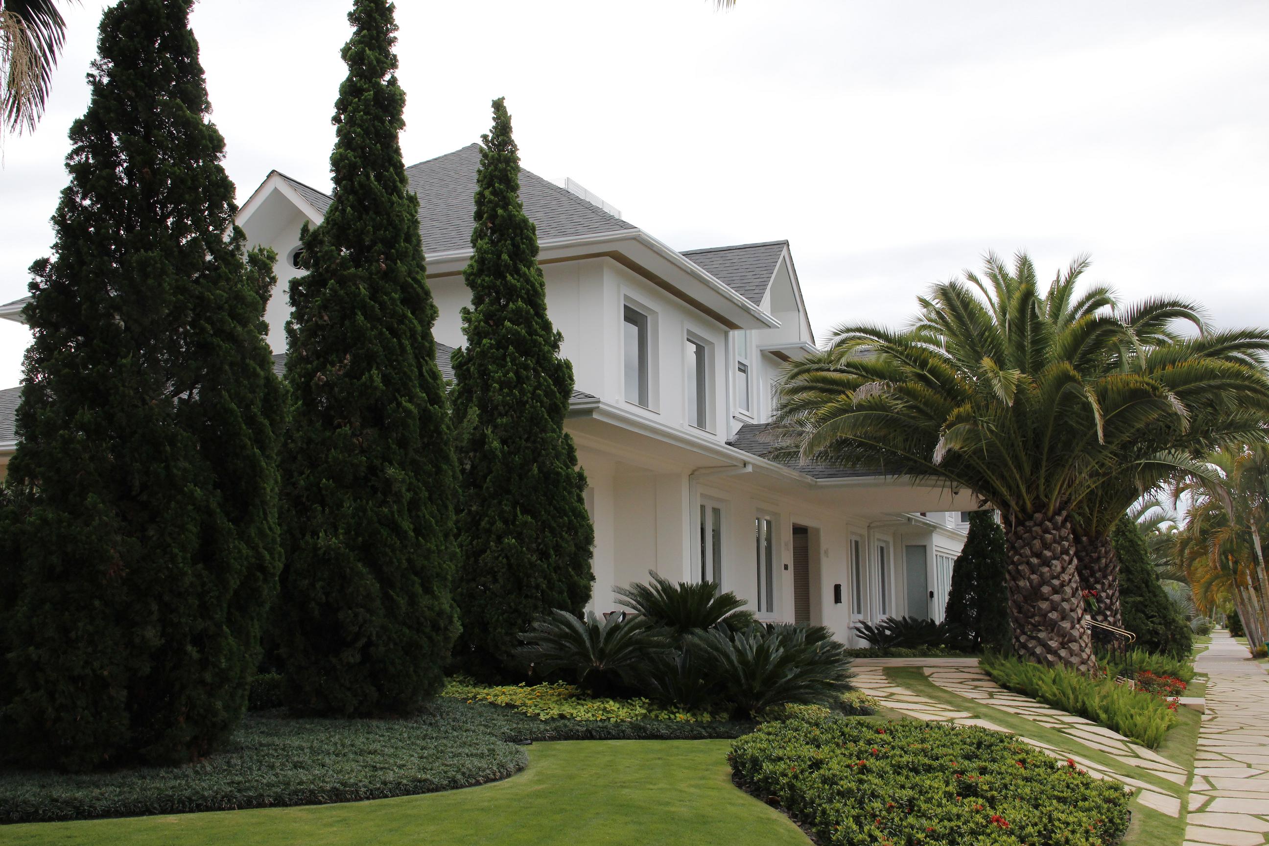 Projeto paisagístico de jardim residencial com palmeiras canarienses, grama preta, kaizucas e cycas em Jurerê internacional