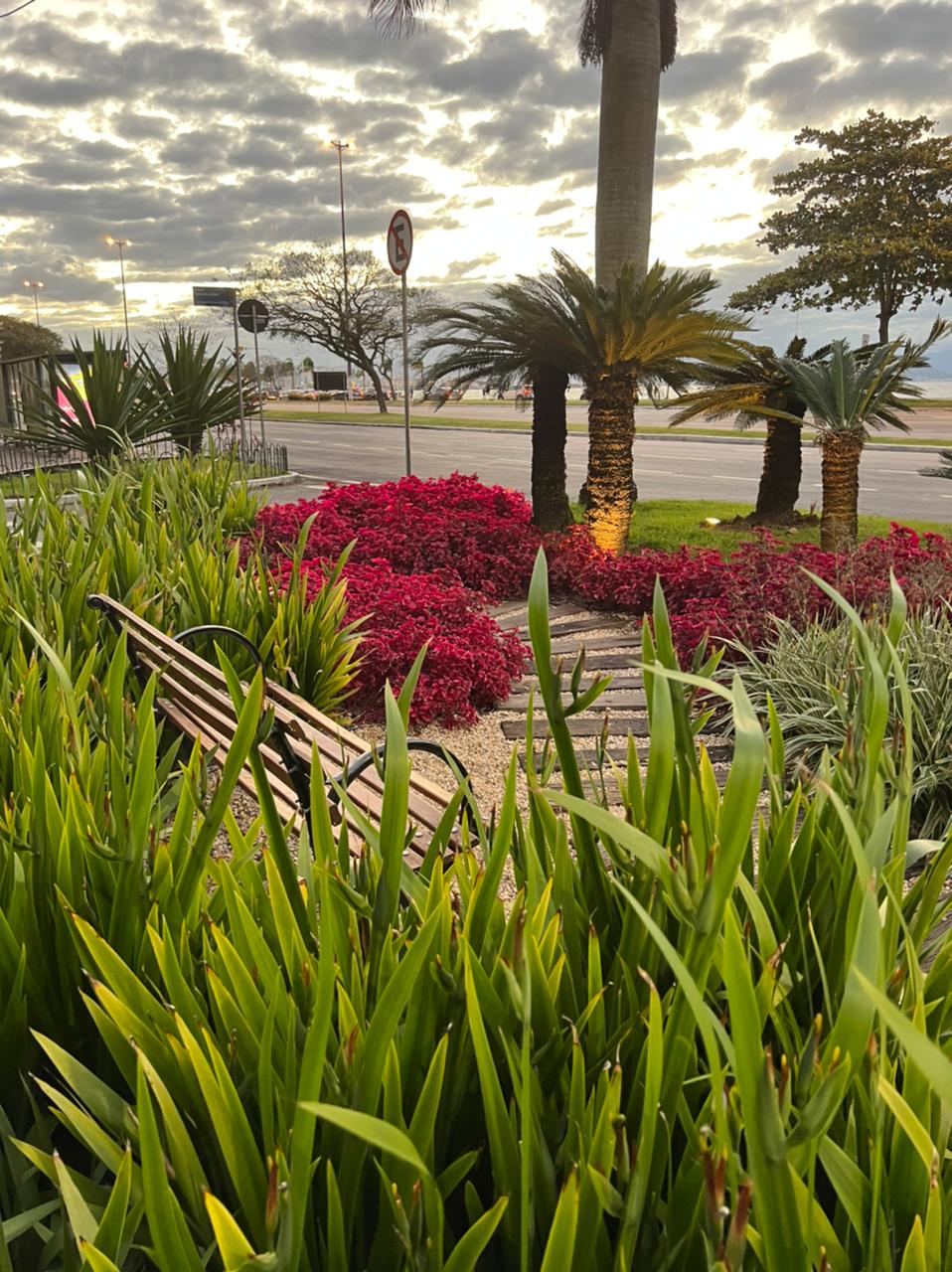 WhatsApp Image 2022-08-24 at 10.23.57.jpeg