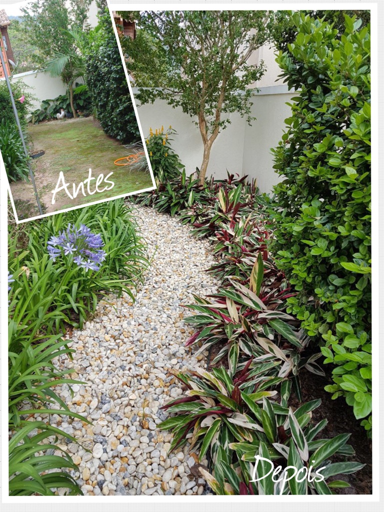 Antes depois de reforma de jardim