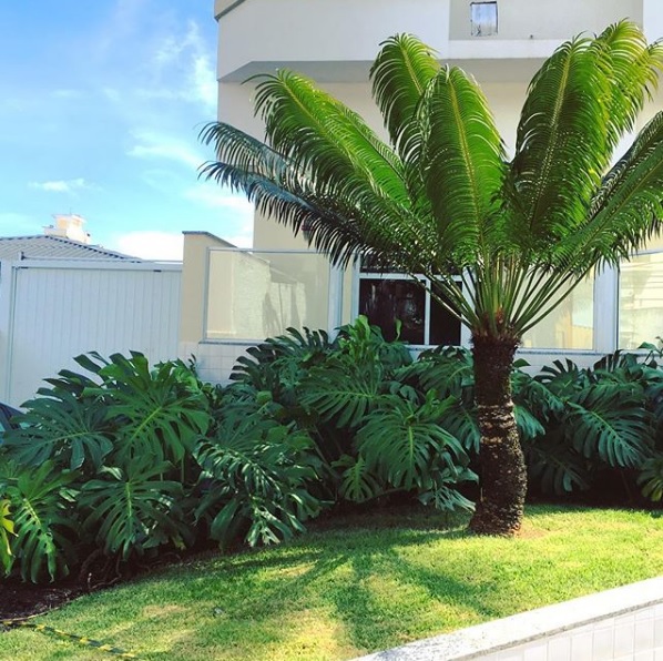 Circinalis e costela.jpg