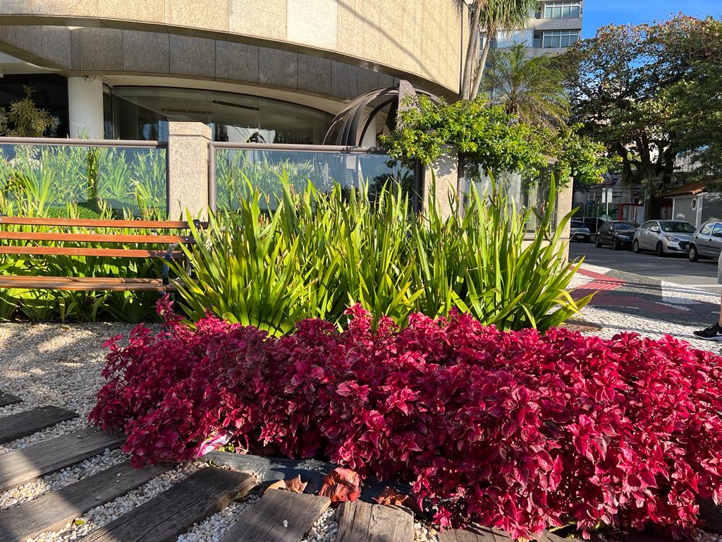 WhatsApp Image 2022-08-30 at 13.13.12.jpeg