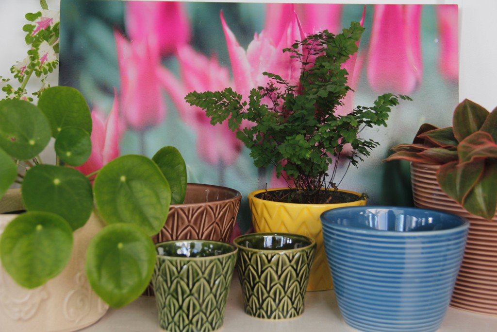 Cachepots cerâmica esmaltada coloridos para plantas ornamentais