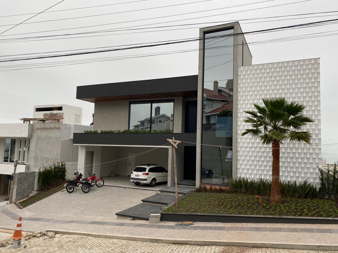 Projeto paisagístico de jardim residencial com palmeira washingtonia