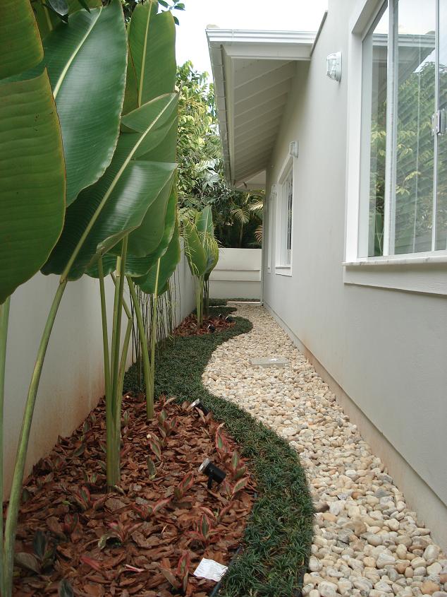 Projeto paisagístico de jardim residencial com ravenala e grama preta