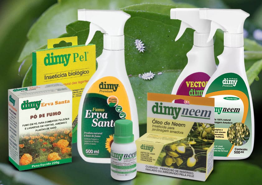 cat-inseticidas-naturais.jpg