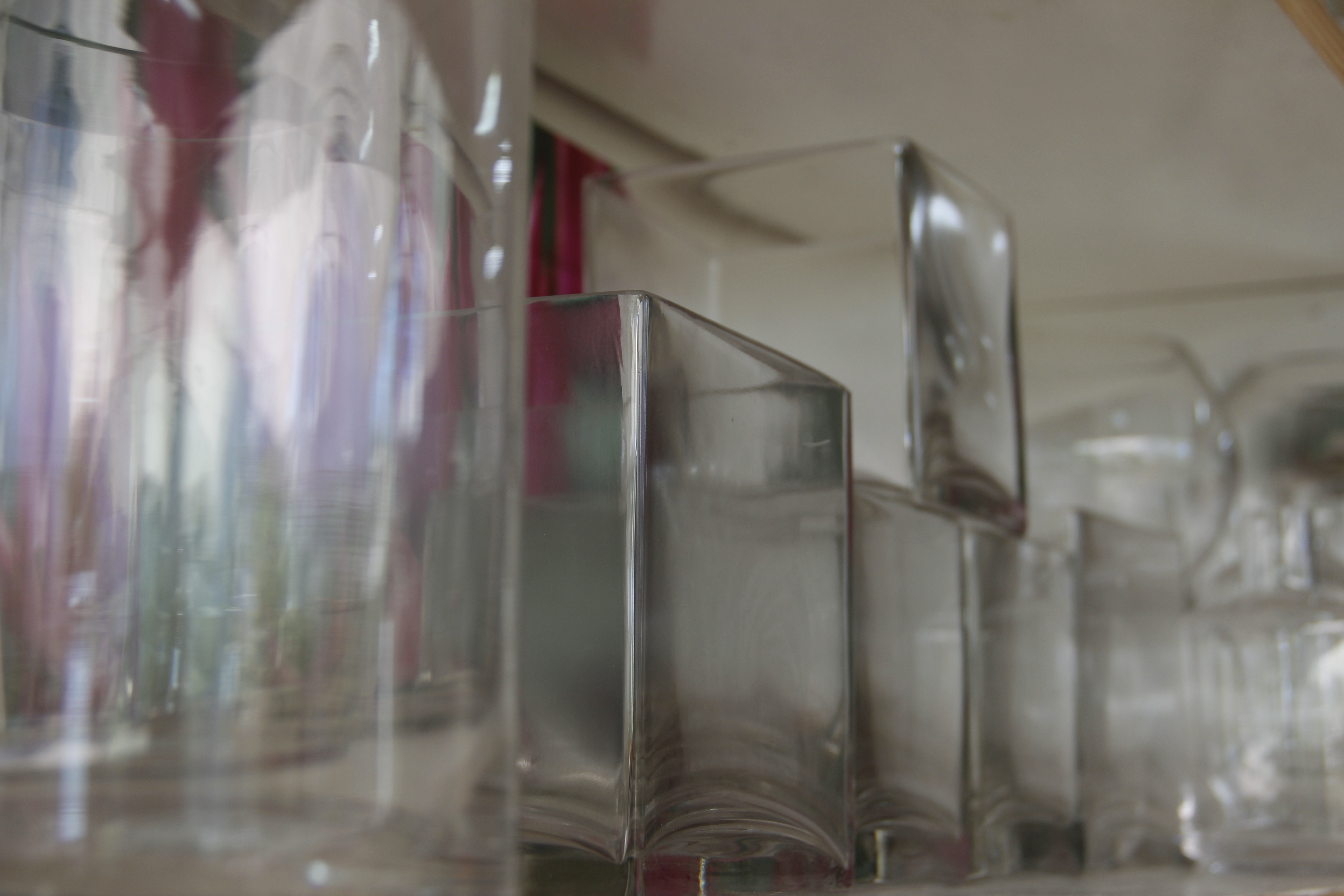 Vidros diversos para plantas